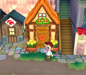 lost watering can in animal crossing new leaf citra