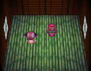 La maison de Kolette dans Animal Crossing