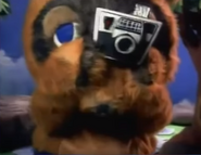 Un acteur déguisé en Tom Nook dans une pub pour Animal Crossing sur GameCube