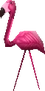Mr.flamingogc