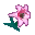 Pink Lily (New Leaf icon).PNG