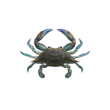 Gazami Crab Animal Crossing Wiki Fandom