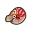 Chambered Nautilus HHD Icon.png