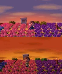 El
 mismo pueblo, con el mismo tiempo y a la misma hora, pero con dos los 
dos tipos de atardecer: arriba el normal y abajo el anaranjado.