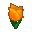 Orange Tulip (New Leaf icon).PNG