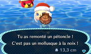 Pascal sortant de l'eau après que le joueur ait pêché un pétoncle