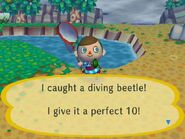 A player catching a diving beetle in City Folk.