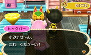 Tangy talking to Reese in the Japanese version of New Leaf.