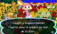 A player catching a Longhorn Beetle in New Leaf.