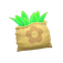 NH Weed