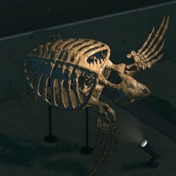Archelon Animal Crossing Wiki Fandom Archelon Animal Crossing Wiki Fandom