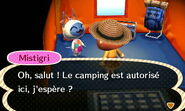 Mistigri dans le camping