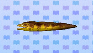 Murène dans New Leaf