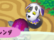 Portia, as seen in Animal Forest