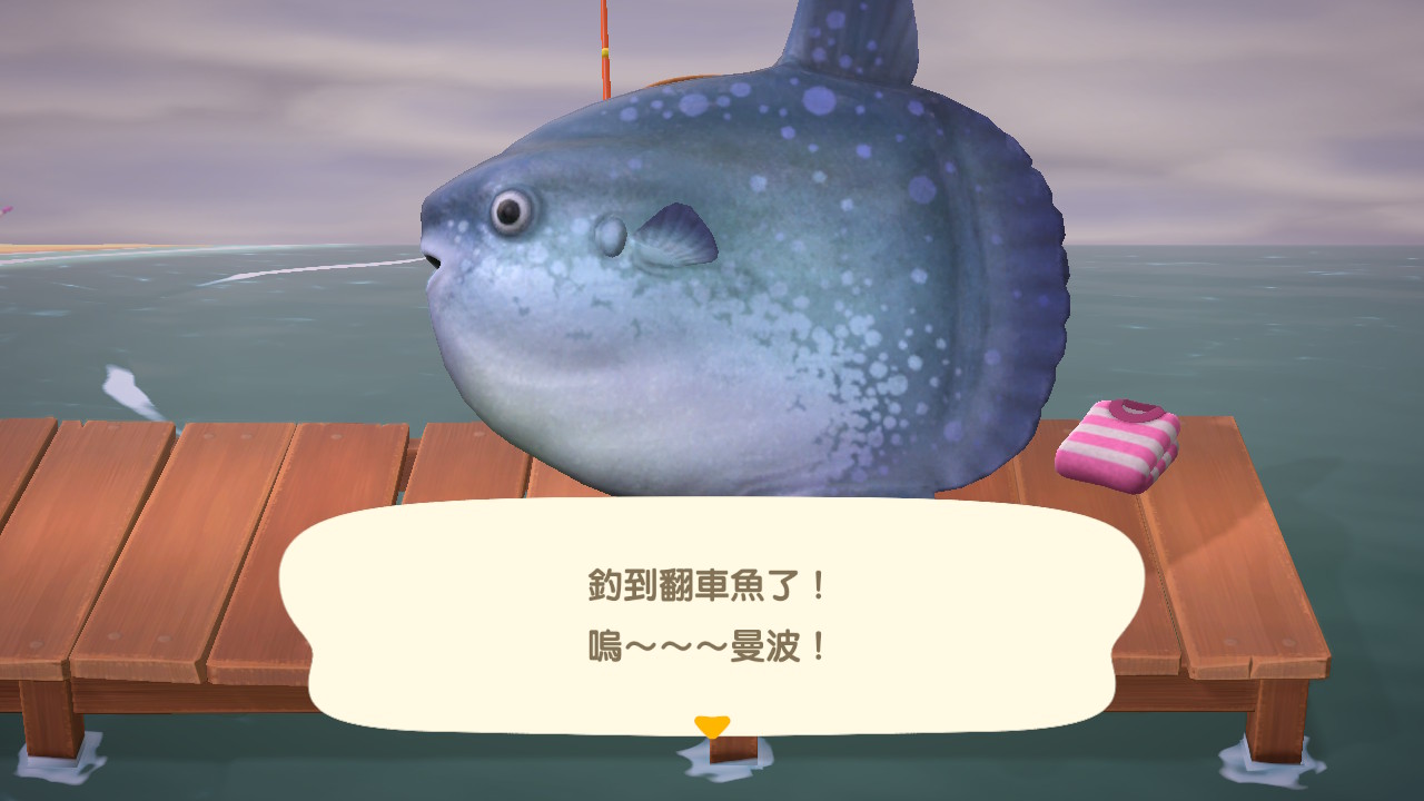 翻車 魚