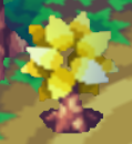 Second stage of growth