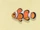 Clownfish