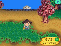 animal crossing wild world 3ds