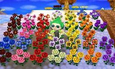 Player with all flower types in New Leaf