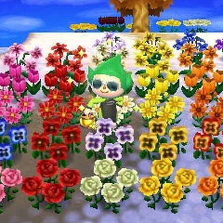 Featured image of post Flower Types Animal Crossing
