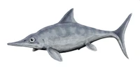Reconstruction of an Ophthalmosaurus.