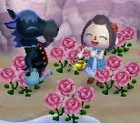 Roscoe watering flowers with villager