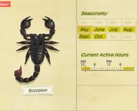 NH-encyclopedia-Scorpion.jpg