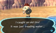 Old Tire in New Leaf.