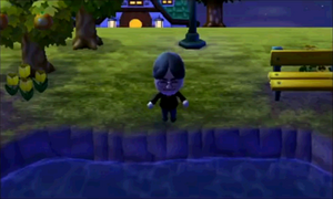 Animal Crossing Jump Out