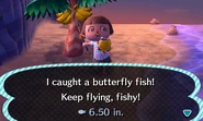 Catching a butterfly fish in New Leaf (As normal player).