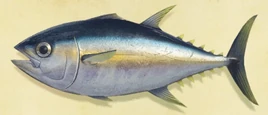 NH-Tuna