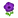 NH-purple windflowers-icon