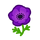 NH-purple windflowers-icon.png