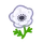 Anémone(s) blanche(s)