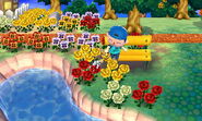 ACNL-Benchwatering