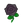 NH-black roses-icon.png