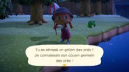 Capture d'un grillon des prés dans New Horizons