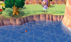 Shadow size small.jpeg (26 KB) An example of a small-sized fish compared with the bobber.