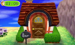 Sandy | Animal Crossing Wiki | Fandom Sandy | Animal Crossing Wiki | Fandom