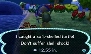 A player who has caught a soft-shelled turtle.