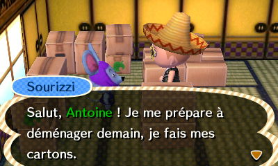 Demenagement Animal Crossing Wiki Fandom