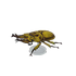 NH-Furniture-Golden stag model.png