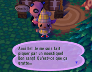 Un message annonçant au joueur s'être fait piqué par un moustique dans Animal Crossing