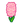 NH-pink hyacinths-icon.png