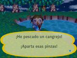 Pescando un cangrejo en City Folk