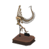 NH-Furniture-spinotail.png