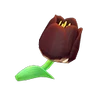 NH-Fleur-Tulipe noire.png (9 kio) Hybride noir