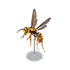 NH-Furniture-Wasp model.png