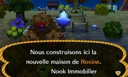 La maison de Rosine en construction