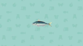 Atlantic mackerel (Pocket Camp)